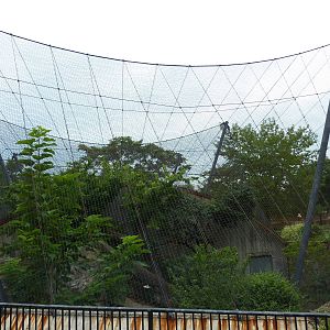 Big Cat Country - Snow Leopard Exhibit