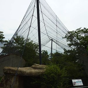 Big Cat Country - Snow Leopard Exhibit