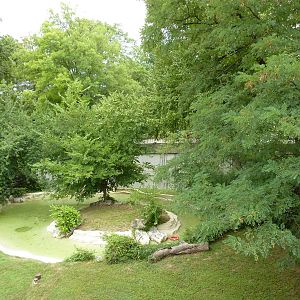 Big Cat Country - Jaguar Exhibit