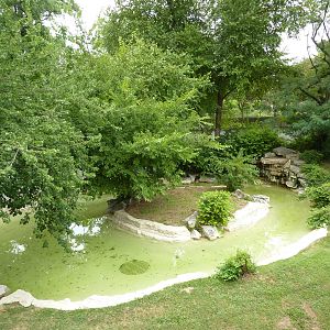 Big Cat Country - Jaguar Exhibit