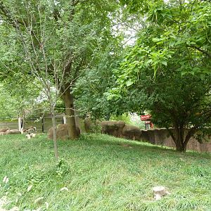 Red Rocks - Mhorr Gazelle/Wattled Crane/Helmeted Guineafowl Exhibit