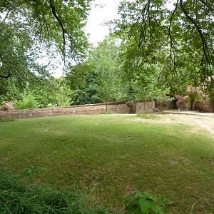 Red Rocks - Nyala Exhibit