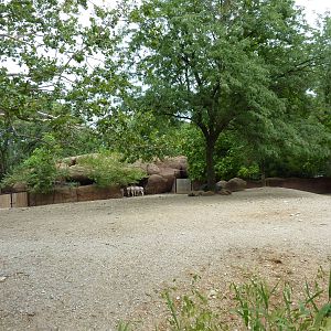 Red Rocks - Somali Wild Ass Exhibit