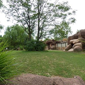 Red Rocks - Chinese Goral/SichuanTakin/Indian Muntjac Exhibit