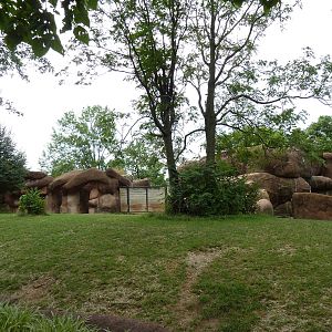 Red Rocks - Chinese Goral/SichuanTakin/Indian Muntjac Exhibit