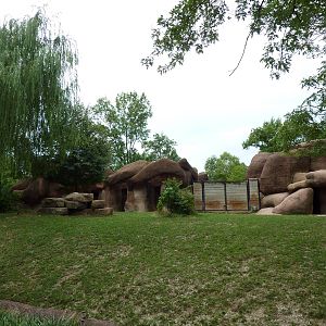 Red Rocks - Chinese Goral/SichuanTakin/Indian Muntjac Exhibit