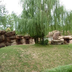 Red Rocks - Chinese Goral/SichuanTakin/Indian Muntjac Exhibit