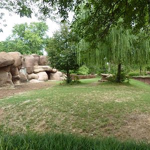 Red Rocks - Chinese Goral/SichuanTakin/Indian Muntjac Exhibit