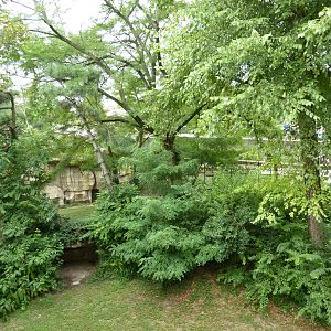 Big Cat Country - Jaguar Exhibit