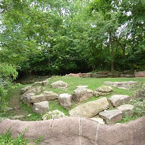 Red Rocks - Indian Muntjac/Sichuan Takin Exhibit