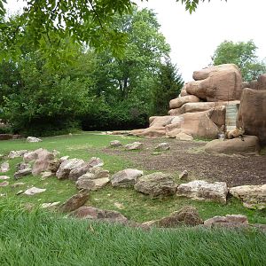 Red Rocks - Indian Muntjac/Sichuan Takin Exhibit