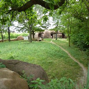 Red Rocks - Lesser Kudu/Cuvier's Gazelle Exhibit