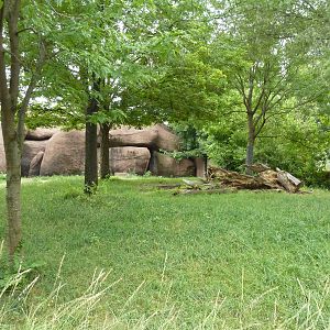 Red Rocks - Lesser Kudu/Cuvier's Gazelle Exhibit