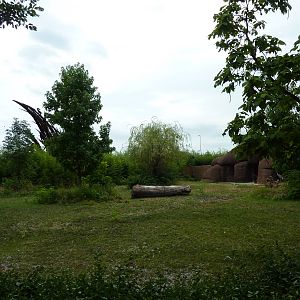 Red Rocks - Banteng/Sarus Crane Exhibit