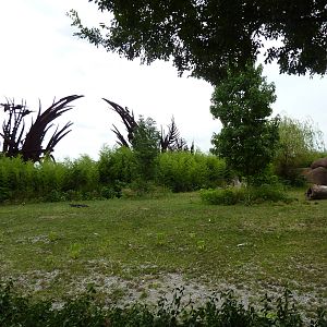 Red Rocks - Banteng/Sarus Crane Exhibit