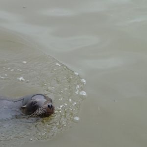 25021 109502159067012 100000216855305 262160 59370 5 n