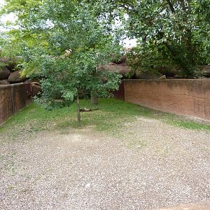 Red Rocks - Speke's Gazelle Exhibit