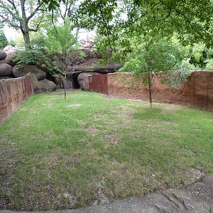 Red Rocks - Speke's Gazelle Exhibit