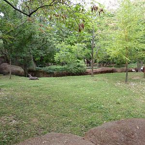 Red Rocks - Nyala/White Stork/East African Crowned Crane Exhibit
