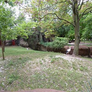 Red Rocks - Nyala/White Stork/East African Crowned Crane Exhibit