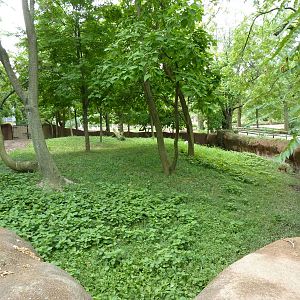 Red Rocks - Okapi/Red-Flanked Duiker/Blue Crane Exhibit