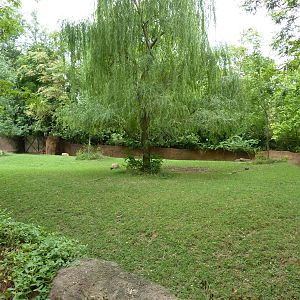 Red Rocks - Bongo Exhibit