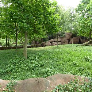 Red Rocks - Bongo Exhibit
