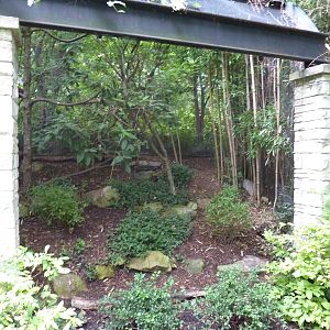 Bird Garden - White-Crested Laughing Thrush/Cabot's Tragopan Exhibit