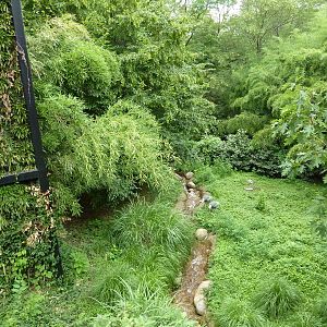 Bird Garden - White-Naped Crane Exhibit