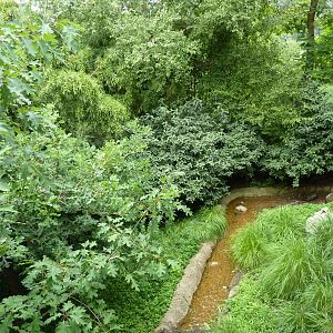 Bird Garden - White-Naped Crane Exhibit