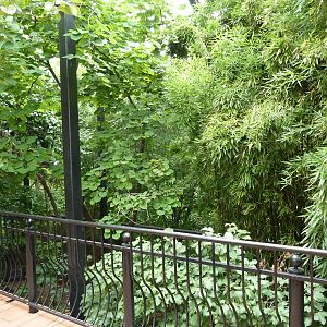 Bird Garden - Walk-Through Aviary