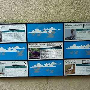 Bird Garden - Walk-Through Aviary Signage
