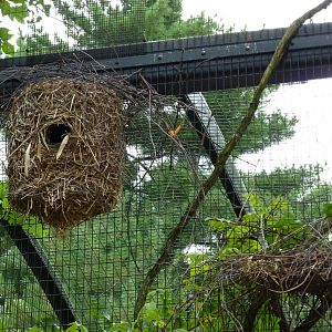 Bird Garden - Walk-Through Aviary Nest