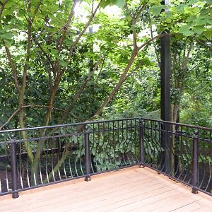 Bird Garden - Walk-Through Aviary