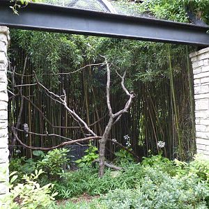 Bird Garden - Kookaburra/Blue-Faced Honeyeater Exhibit