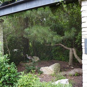 Bird Garden - Red-Legged Seriema Exhibit