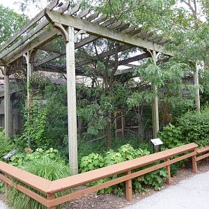 Bird Garden - Bateleur Eagle Exhibit