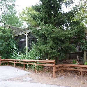 Bird Garden - Bateleur Eagle + Cinereous Vulture Exhibits