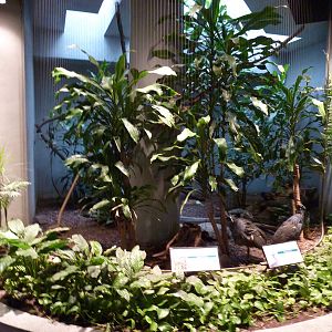 Bird House - Built In 1930