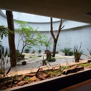 Bird House - Built In 1930