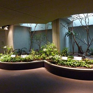 Bird House - Built In 1930