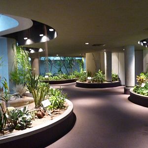 Bird House - Built In 1930