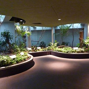 Bird House - Built In 1930