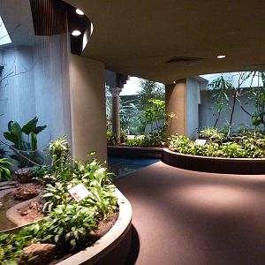 Bird House - Built In 1930