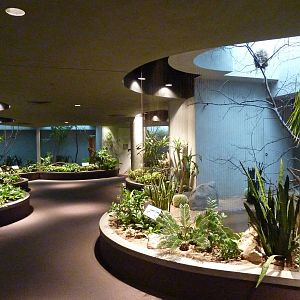 Bird House - Built In 1930