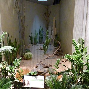 Bird House - Built In 1930 - Burrowing Owl Exhibit