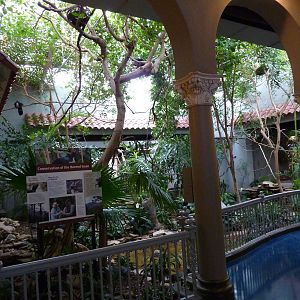 Bird House - Built In 1930