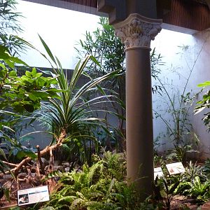 Bird House - Built In 1930