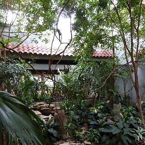 Bird House - Built In 1930