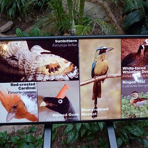 Bird House - Built In 1930 - Signage